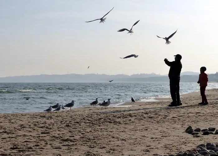 Apartamento 12 - Seewald Haus Huehnergott